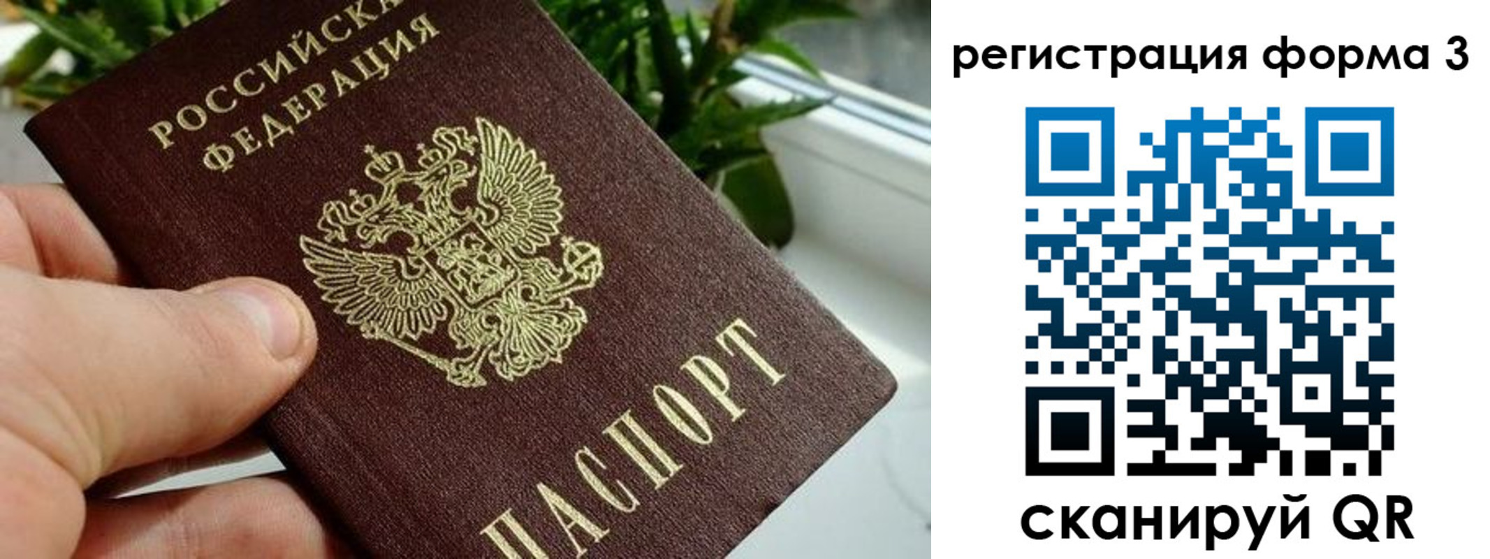 прописка штамп в Ейске
